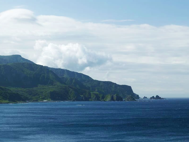 北海道の自然の中へ海洋散骨・山散骨代行いたします