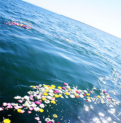 格安プラン一体3万円（税別）をご用意しております