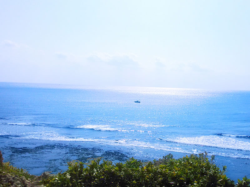 格安プラン一体33,000円（税込）をご用意しております