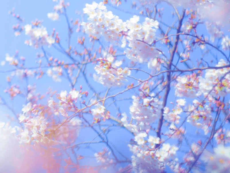 お墓に納骨されていたご遺骨もお任せください