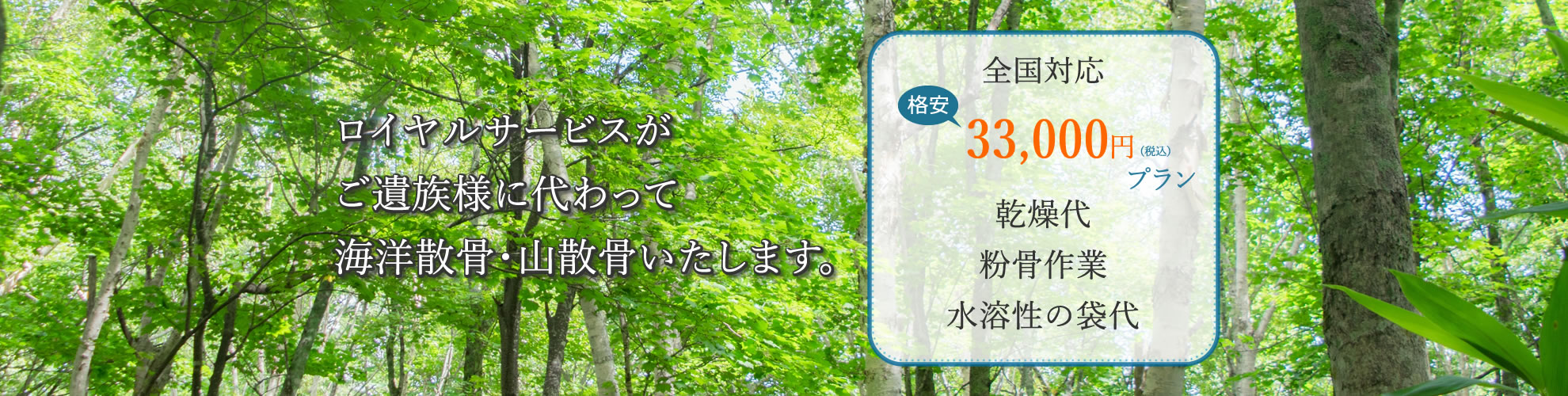 海洋散骨・山散骨・墓じまいをされる方