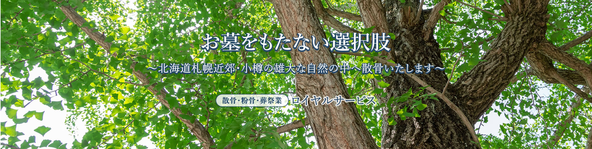 散骨をお考えなら格安プランのロイヤルサービス
